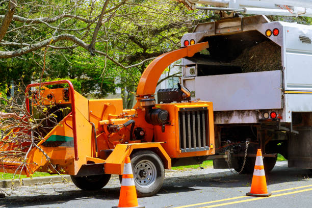 Avenel, NJ Tree Care Services Company