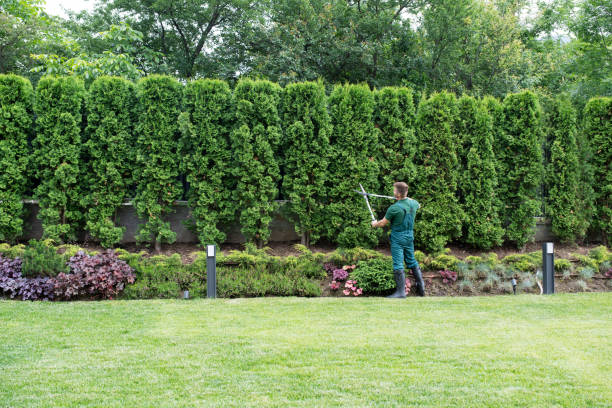 Best Lawn Watering Services  in Avenel, NJ